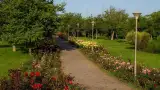 Парк "Ореховая роща"