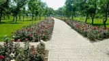 Парк "Ореховая роща"